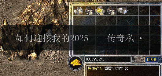 如何迎接我的2025——传奇私服告诉你!(图1) 如何迎接我的2025——传奇私服告诉你!